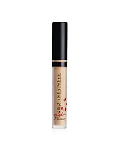 Geisha Lift Concealer