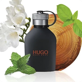 Hugo